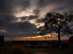 KF_20191124_2726