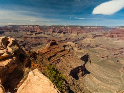_MG_0650
